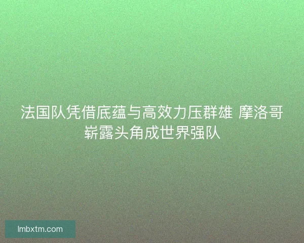 法国队凭借底蕴与高效力压群雄 摩洛哥崭露头角成世界强队